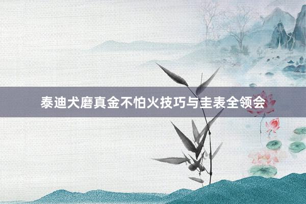 泰迪犬磨真金不怕火技巧与圭表全领会